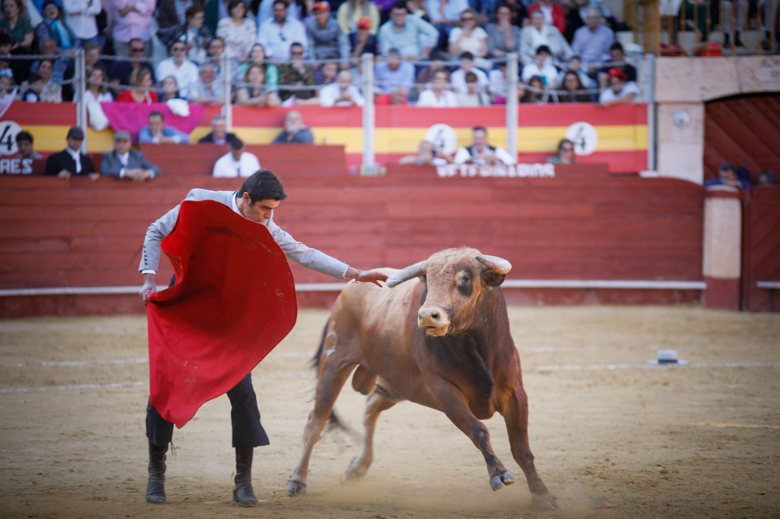 Imágenes del festival mixto lucha contra el cáncer