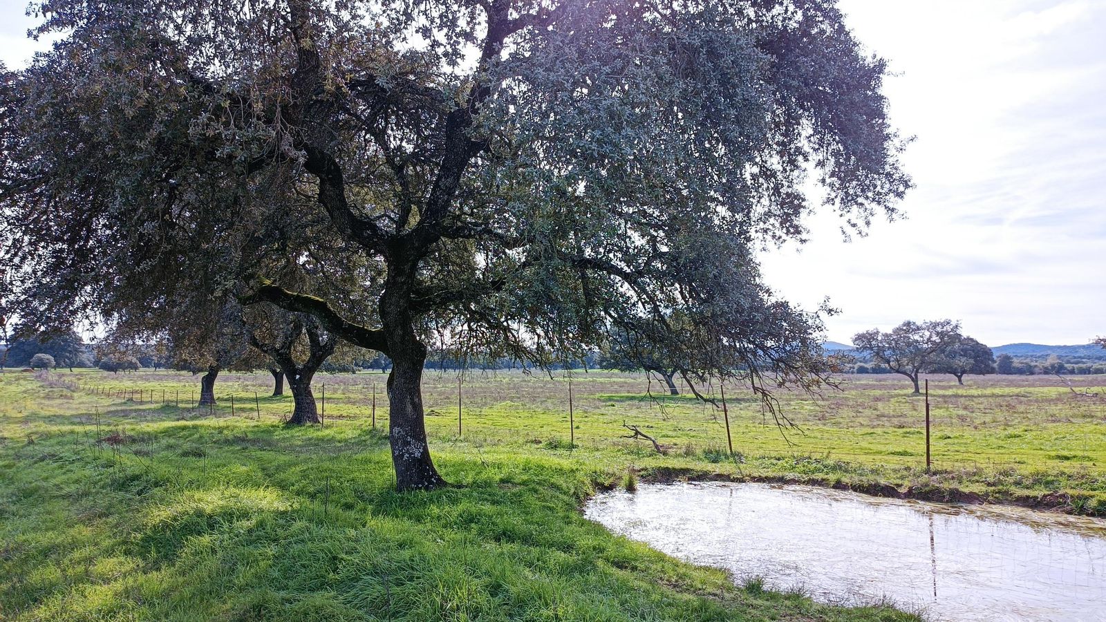 Llano de las Tarántulas.