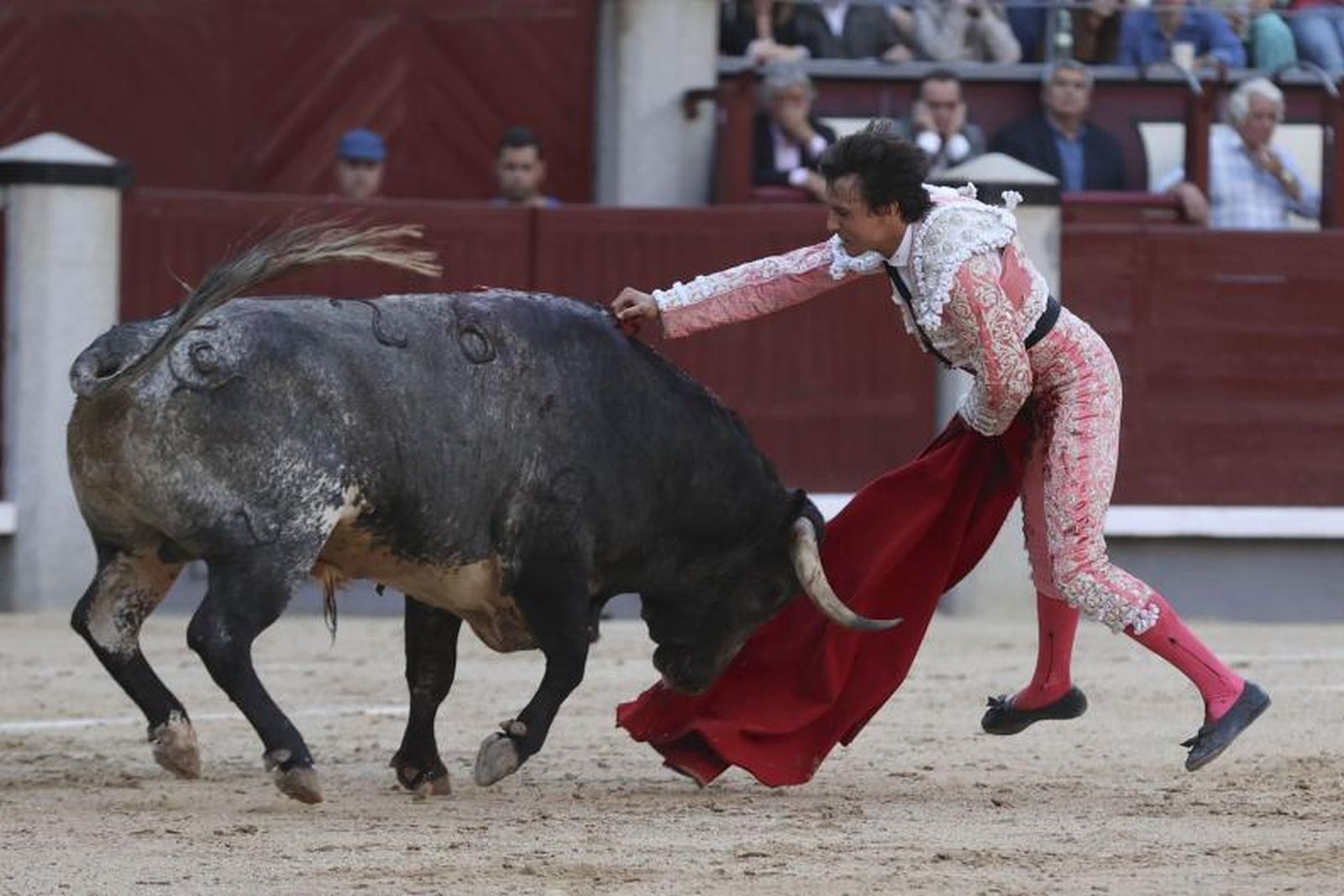 Andrés Roca Rey notó el peso de la púrpura y aquí está entrándole a matar a 'Prisionero', un toro de La Quinta que fue protestado por el público de Madrid.