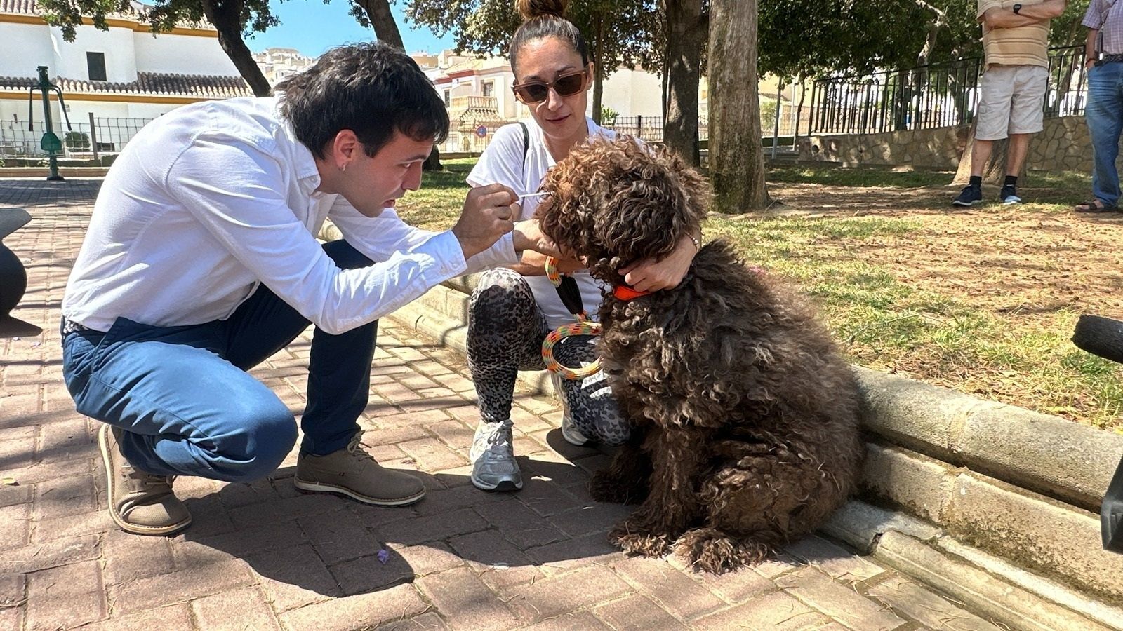 Prueba de ADN a uno de los perros en Huércal de Almería.