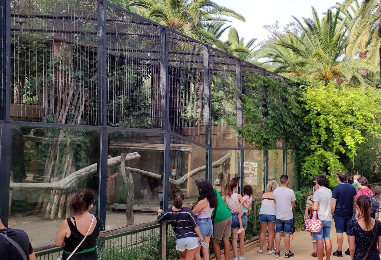 Una imagen de los 'Paseos guiados al atardecer' celebrados en el Zoobotánico de Jerez