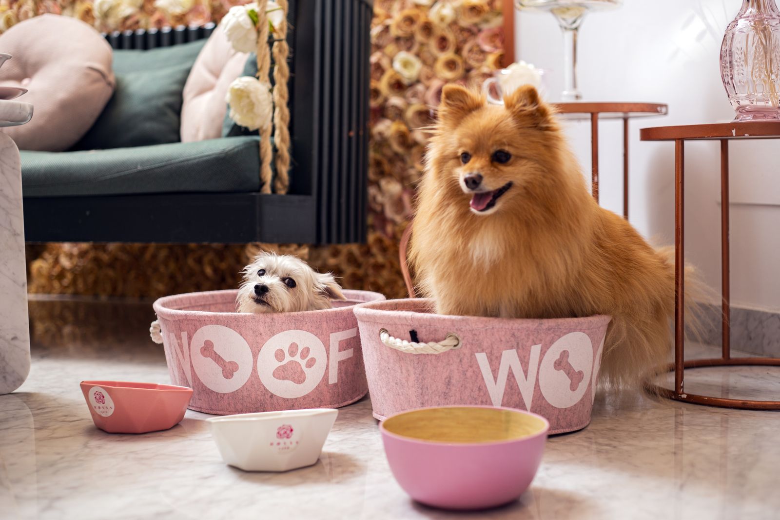 Rosas Café acoge al público canino como parte de la familia.