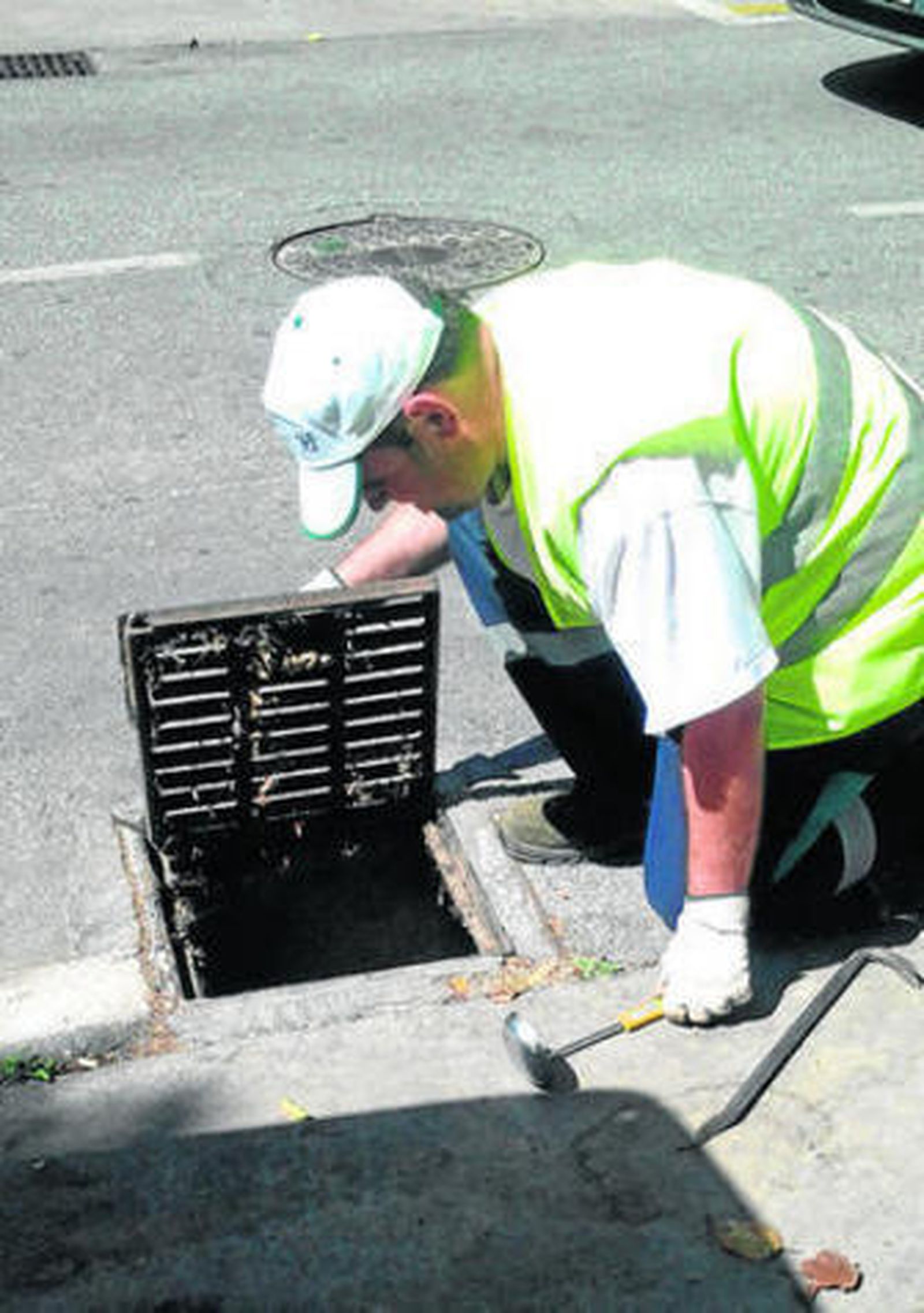 Control de la plaga de un mosquito en una alcantarilla.