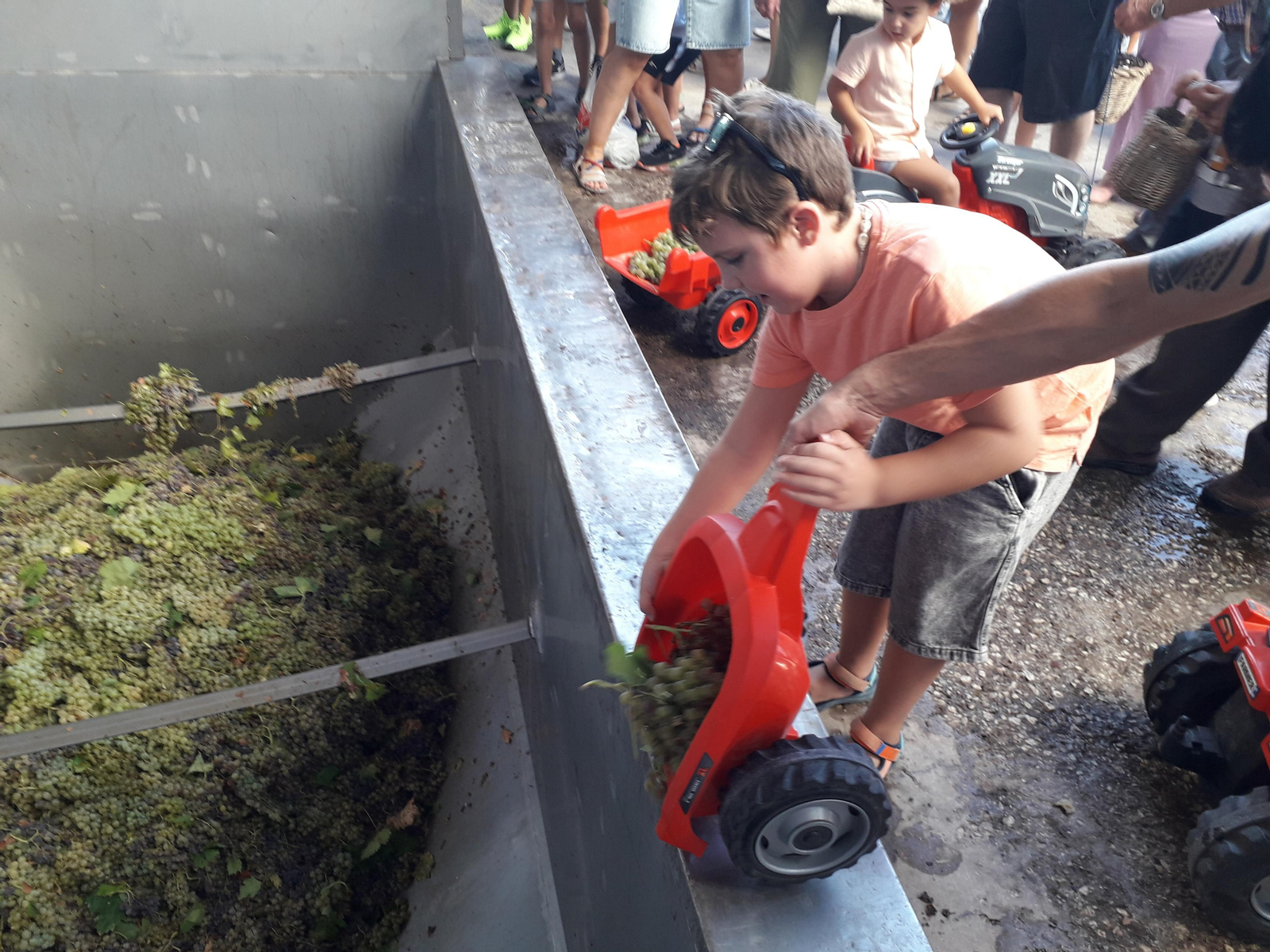 La primera vendimia infantil de Montilla, en imágenes