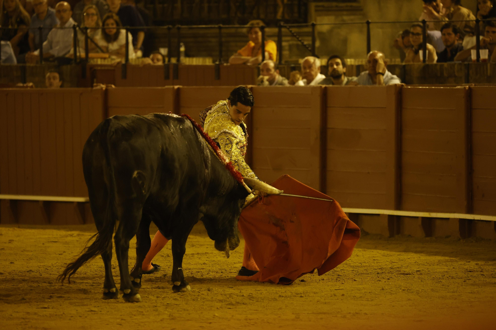 Las imágenes de la novillada en la Maestranza