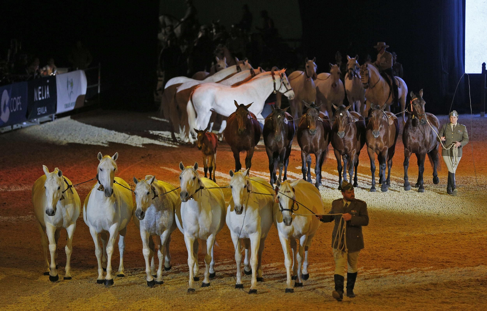 Inauguración de Sicab 2017