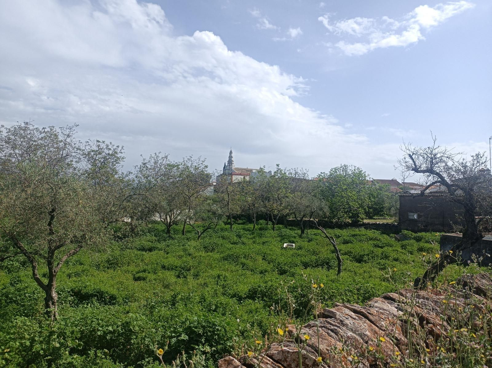 Las fotos de la ruta circular entre Aracena y Corteconcepción