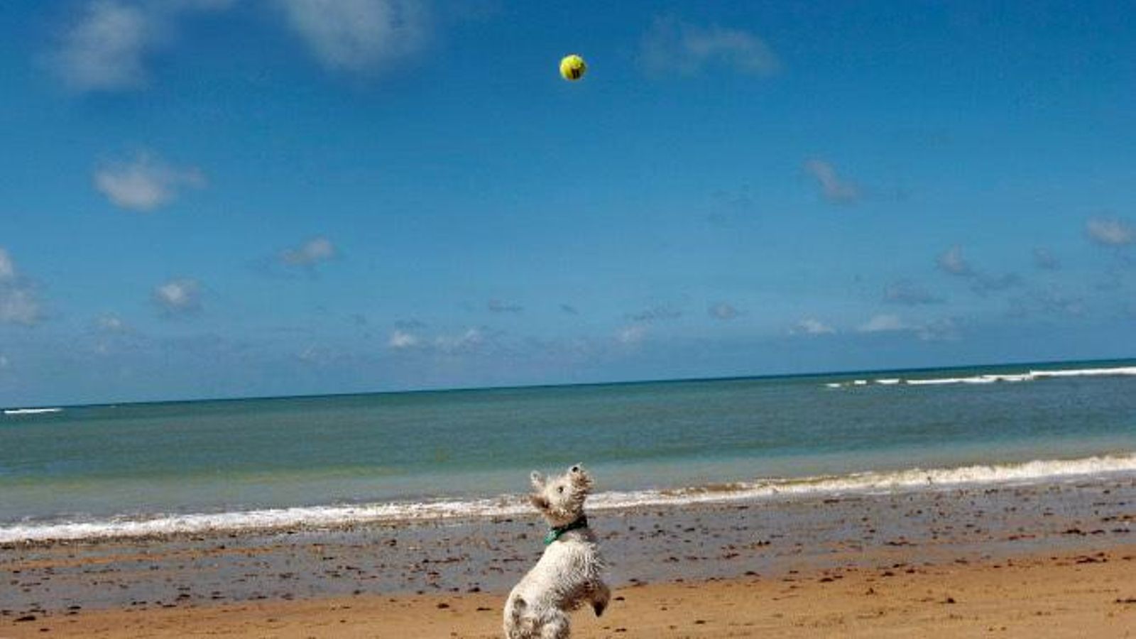 La playa de Punta Candor marca el inicio del camino.