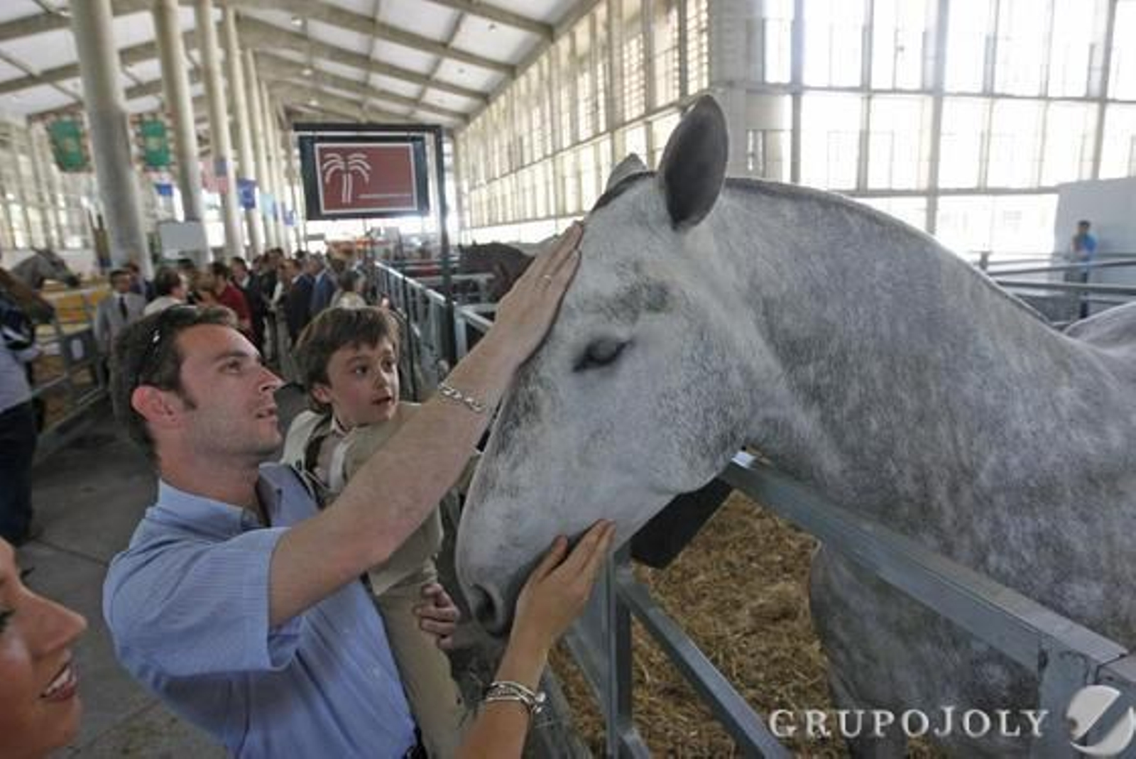 Muchos aficionados acudieron al acto de apertura de las instalaciones de Equisur, en Ifeca.

Foto: Juan Carlos Toro