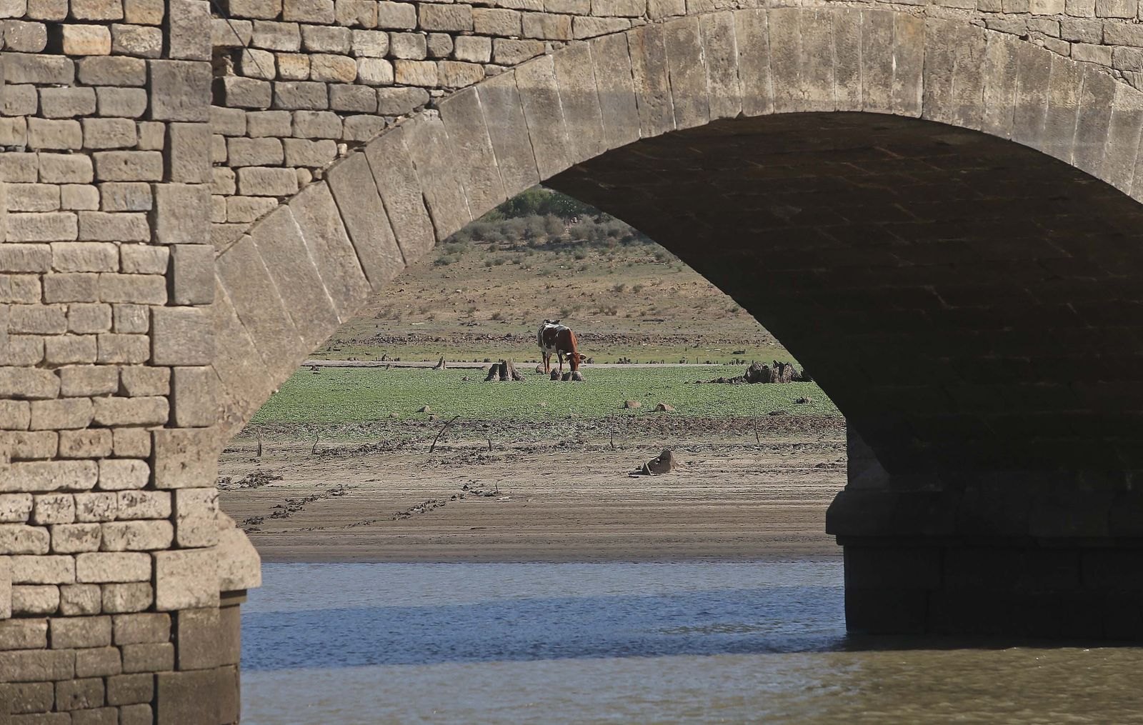 Imágenes del pantano de Charco Redondo en Los Barrios