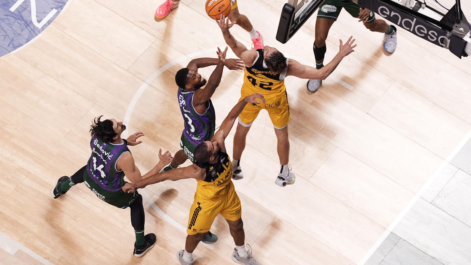 El Unicaja-La Laguna Tenerife, en fotos