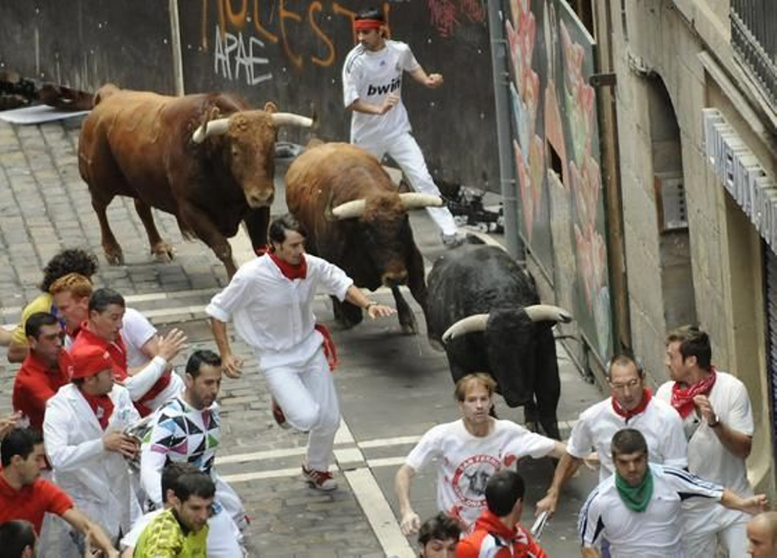 Los toros de El Pilar protagonizan un encierro rápido, limpio y sin corneados

Foto: AFP PHOTO