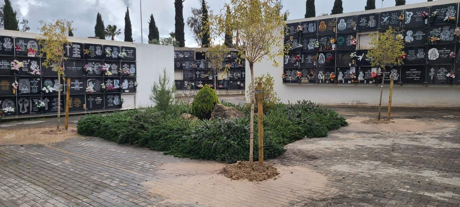 El Ayuntamiento de Jaén ampliará el Cementerio de San Fernando "en breve" con una inversión de 371.000 euros El Ayuntamiento de Jaén ampliará el Cementerio de San Fernando "en breve" con una inversión de 371.000 euros