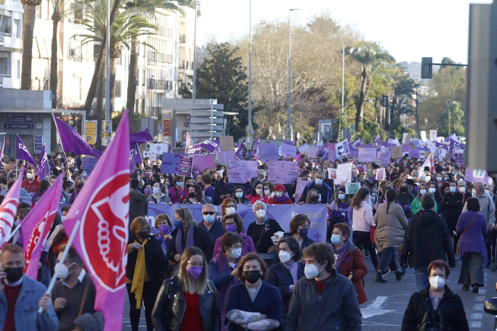 La manifestación del 8M en Córdoba, en fotografías