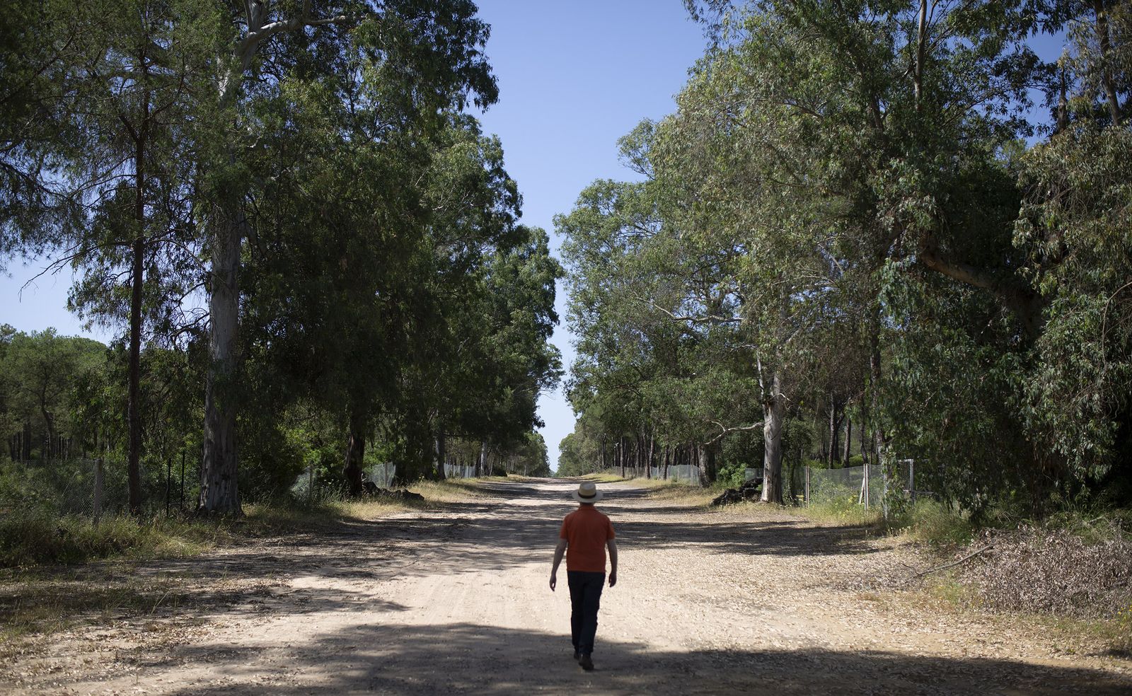 Las imágenes de Villamanrique sin romería