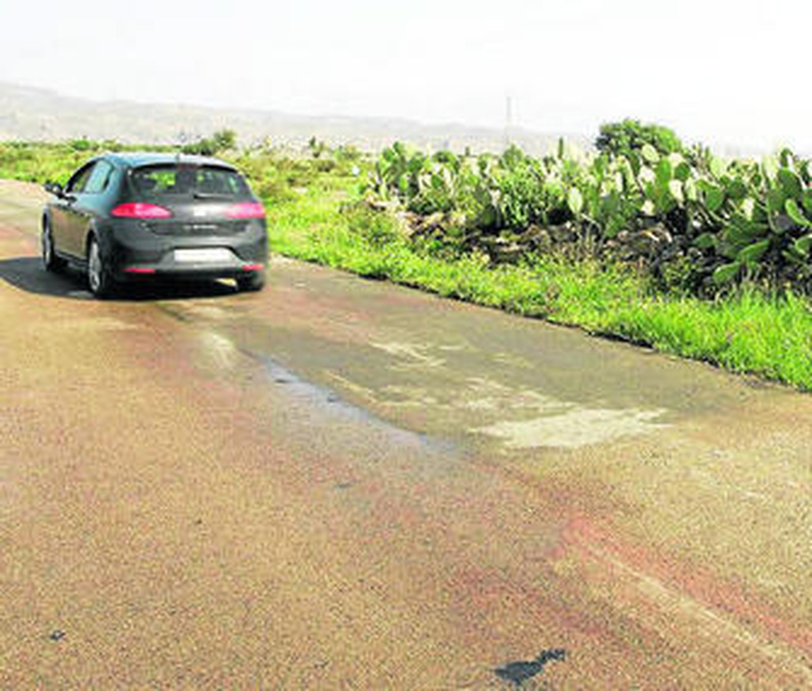 El gran reguero de sangre ocupaba unos 4 metros en la carretera.