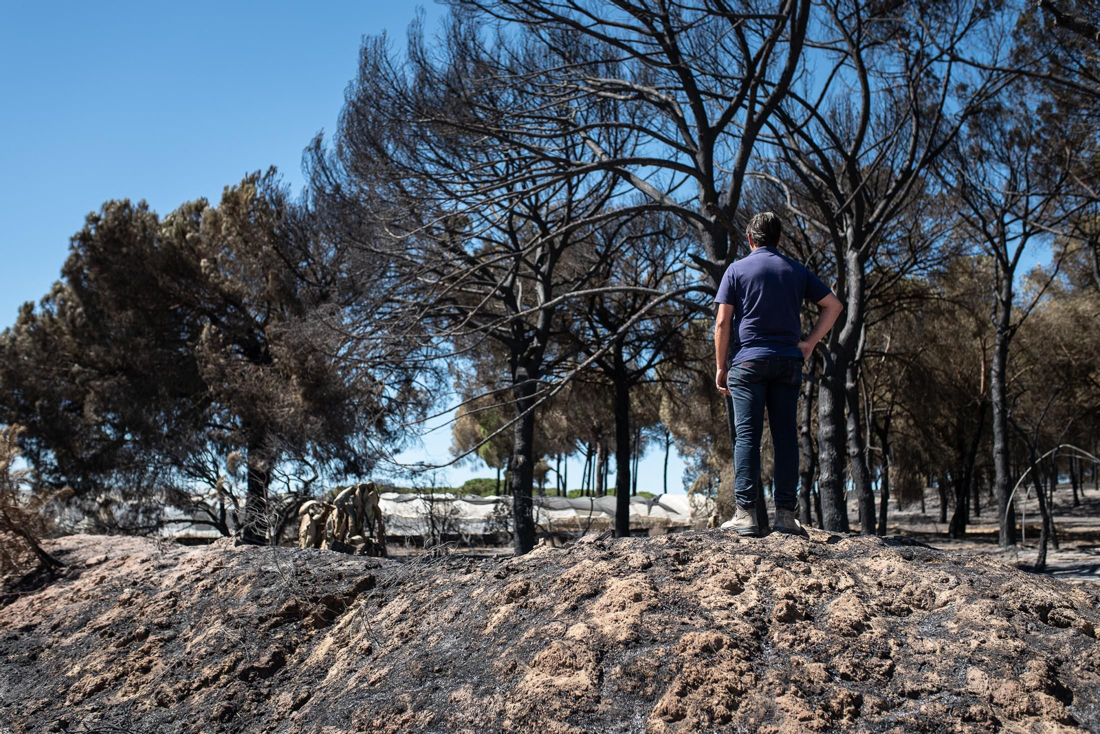 El rastro del incendio de Almonte en imágenes