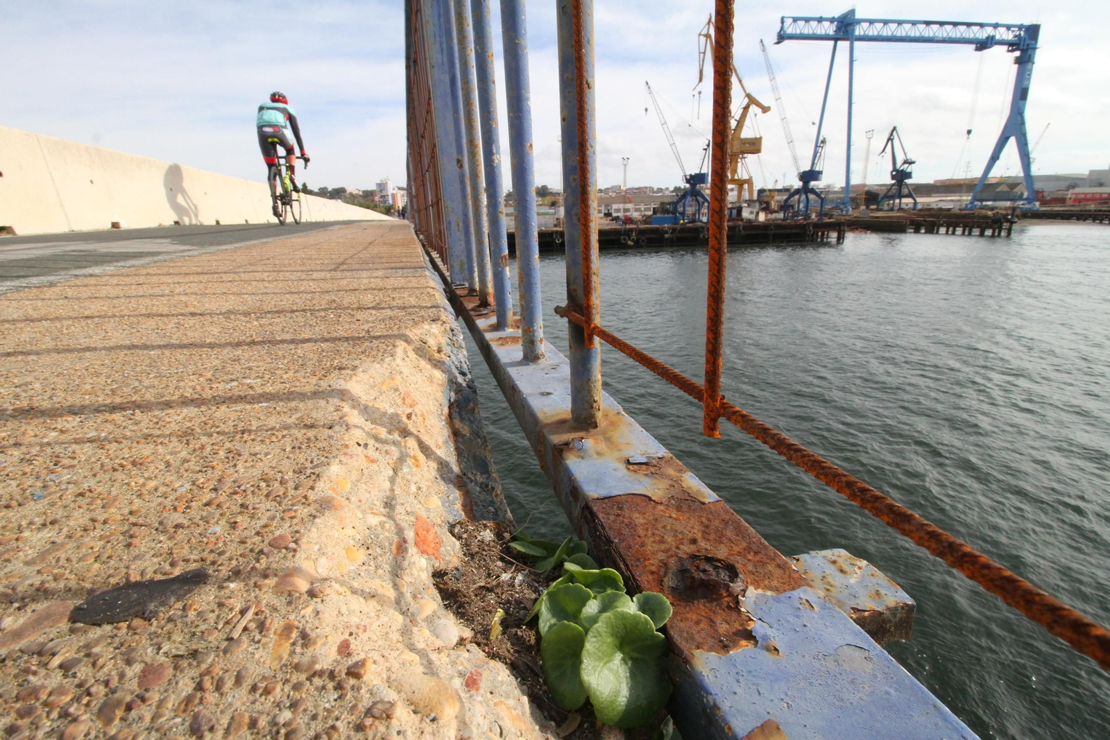 Imágenes del mal estado del puente Sifón.