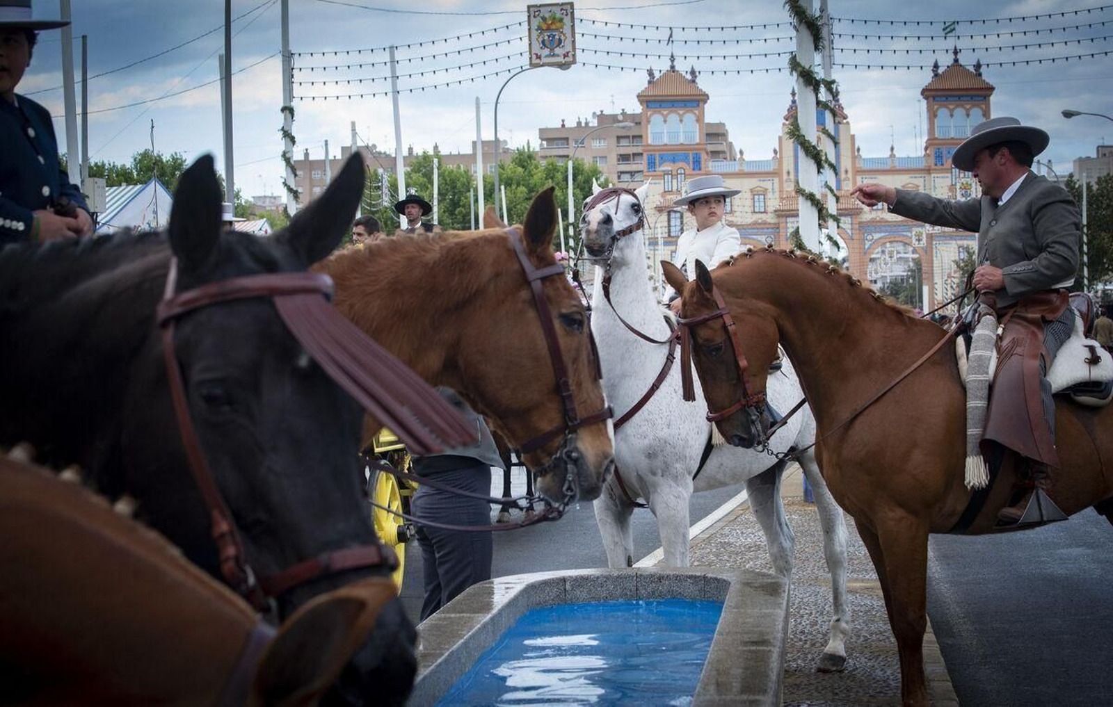 Caballos bebiendo en el real.