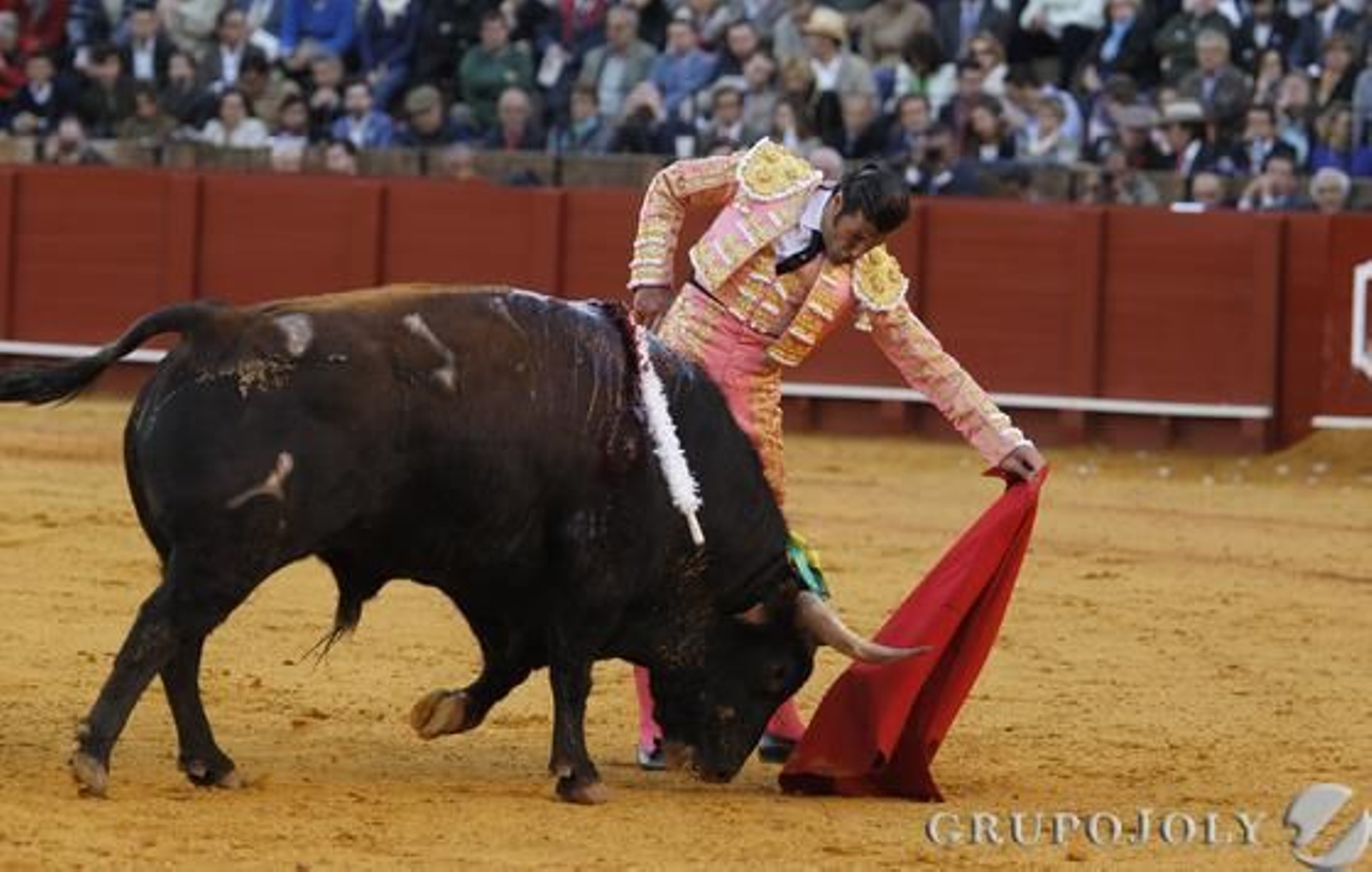 David Mora. / Antonio Pizarro