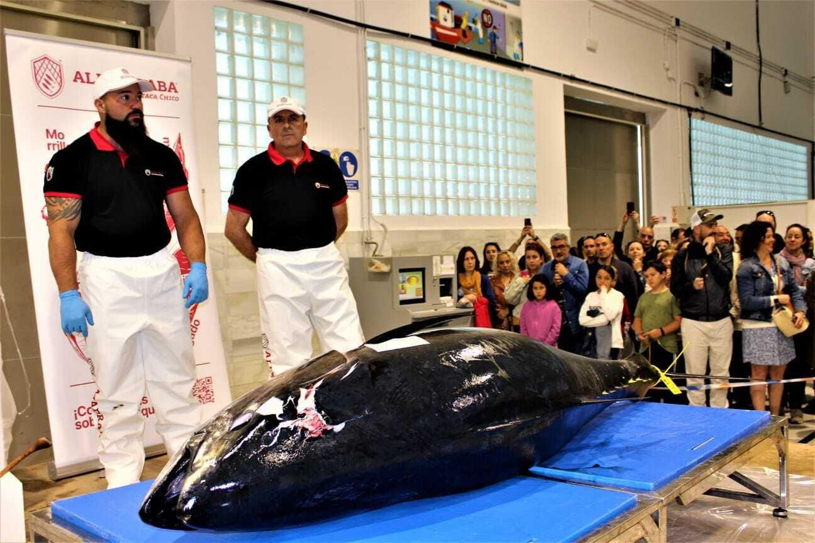 La Feria del Atún de Barbate 2024, en imágenes: ronqueo y showcooking entre tapas del mejor atún