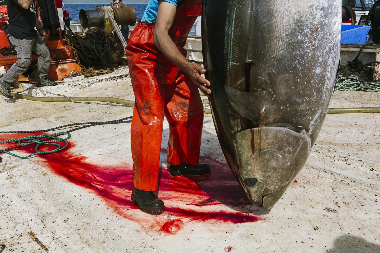 Imágenes de la primera levantá del año