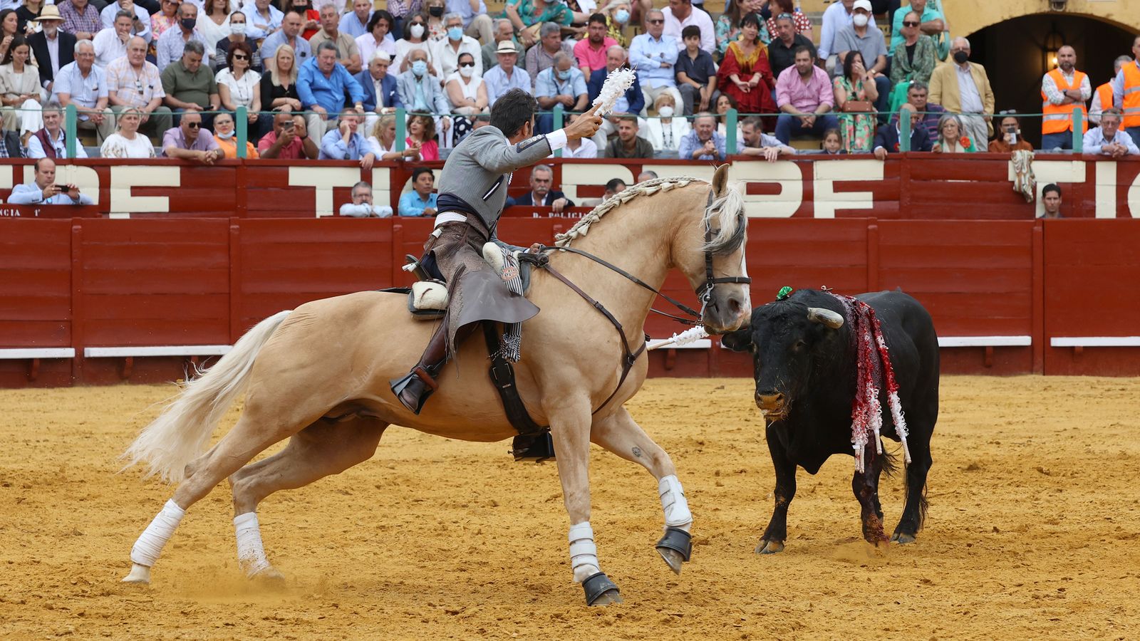 Toros en Jerez: El arte ecuestre