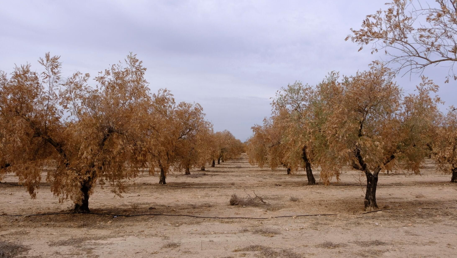FINANZAS-ECONOMÍA-AGRI (8409974).jpg