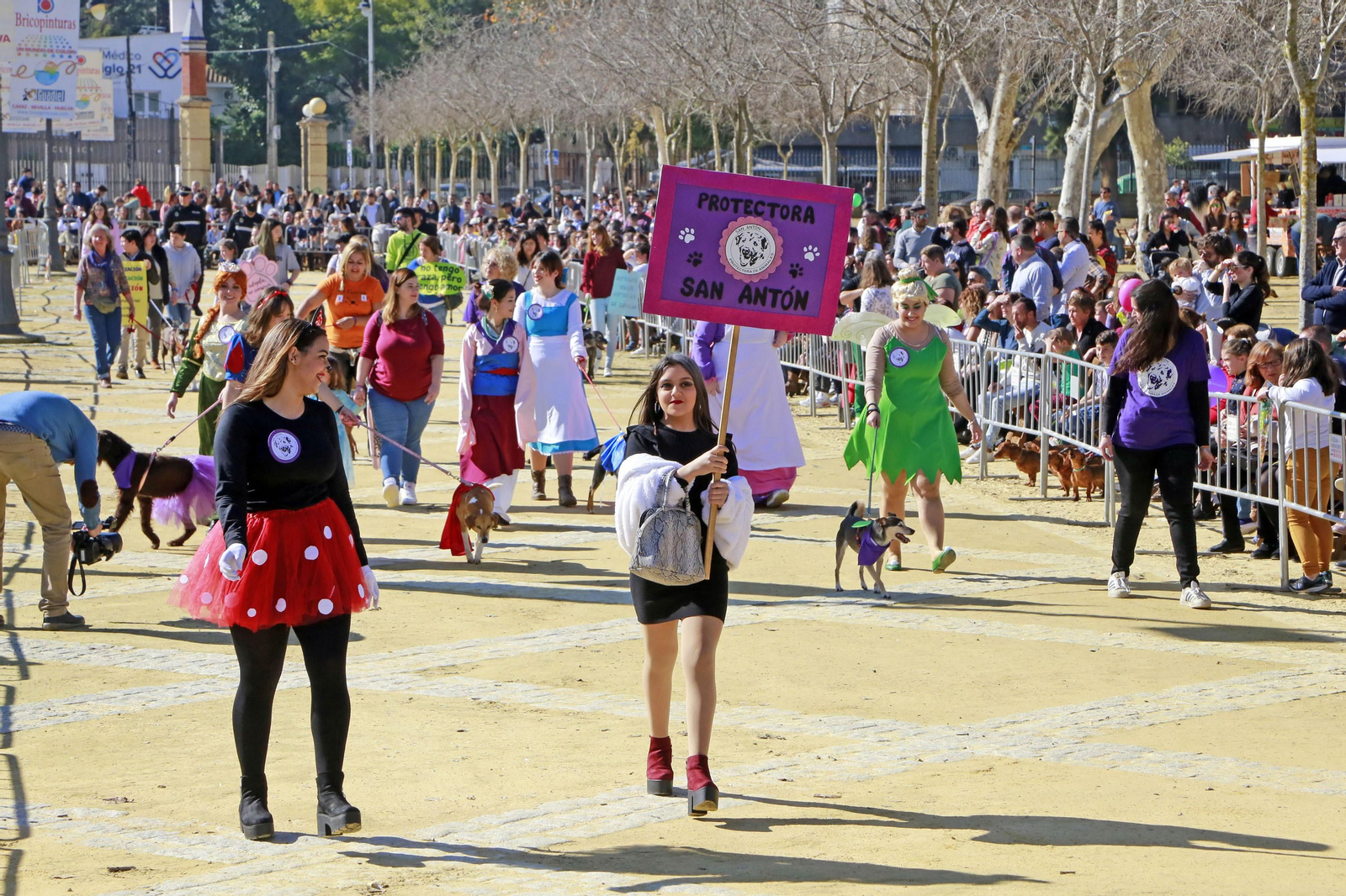 Imágenes de San Antón 2020 en Jerez