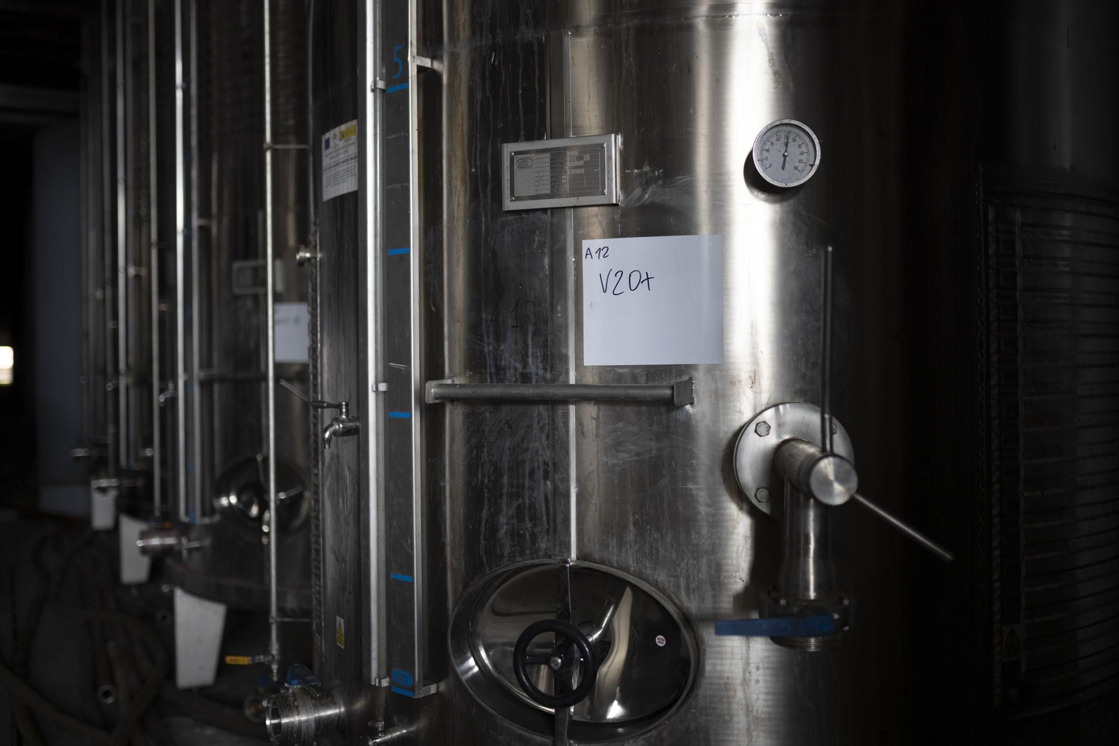 Imágenes de la vendimia en el Condado de Huelva