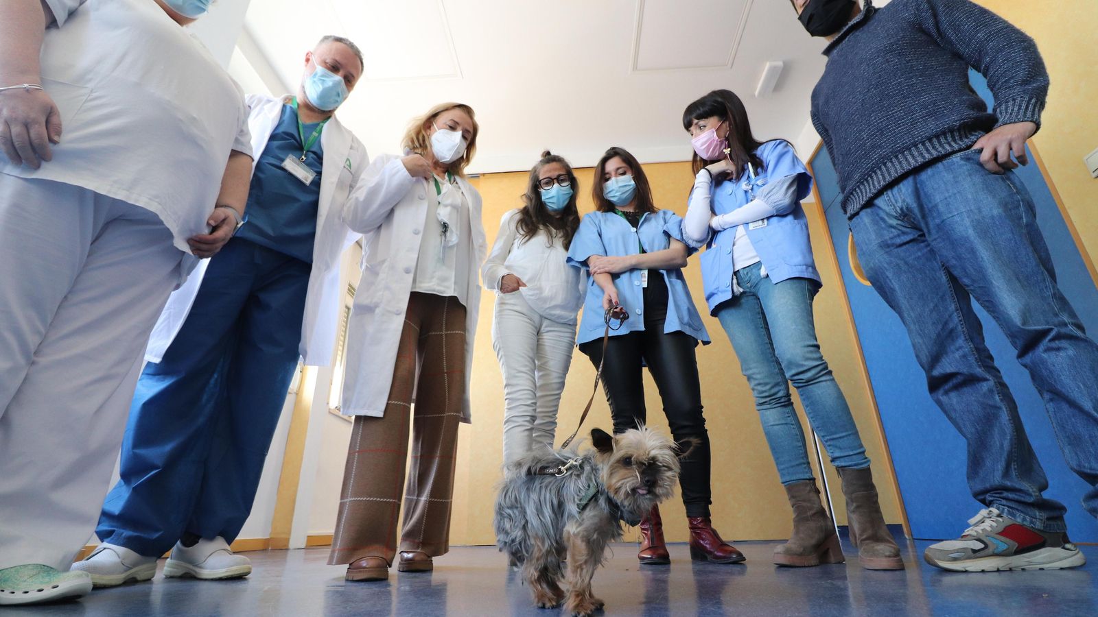 Lucky visitó a los enfermeros y profesionales del hospital tras la marcha de su dueña