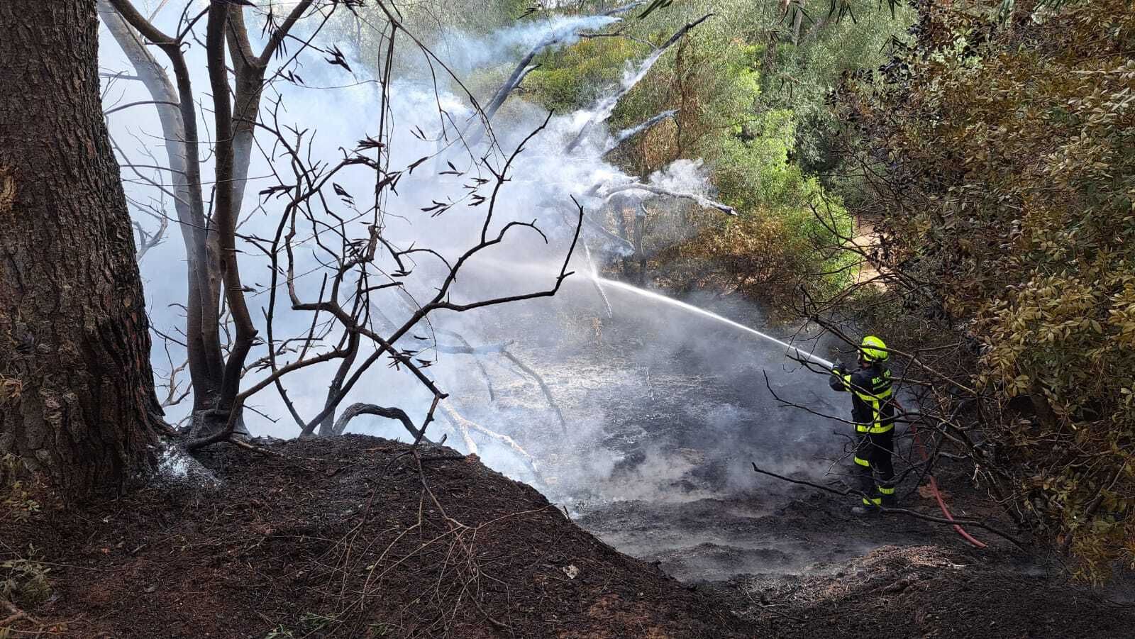 Un bombero trabaja en el incendio del Pinar de la María