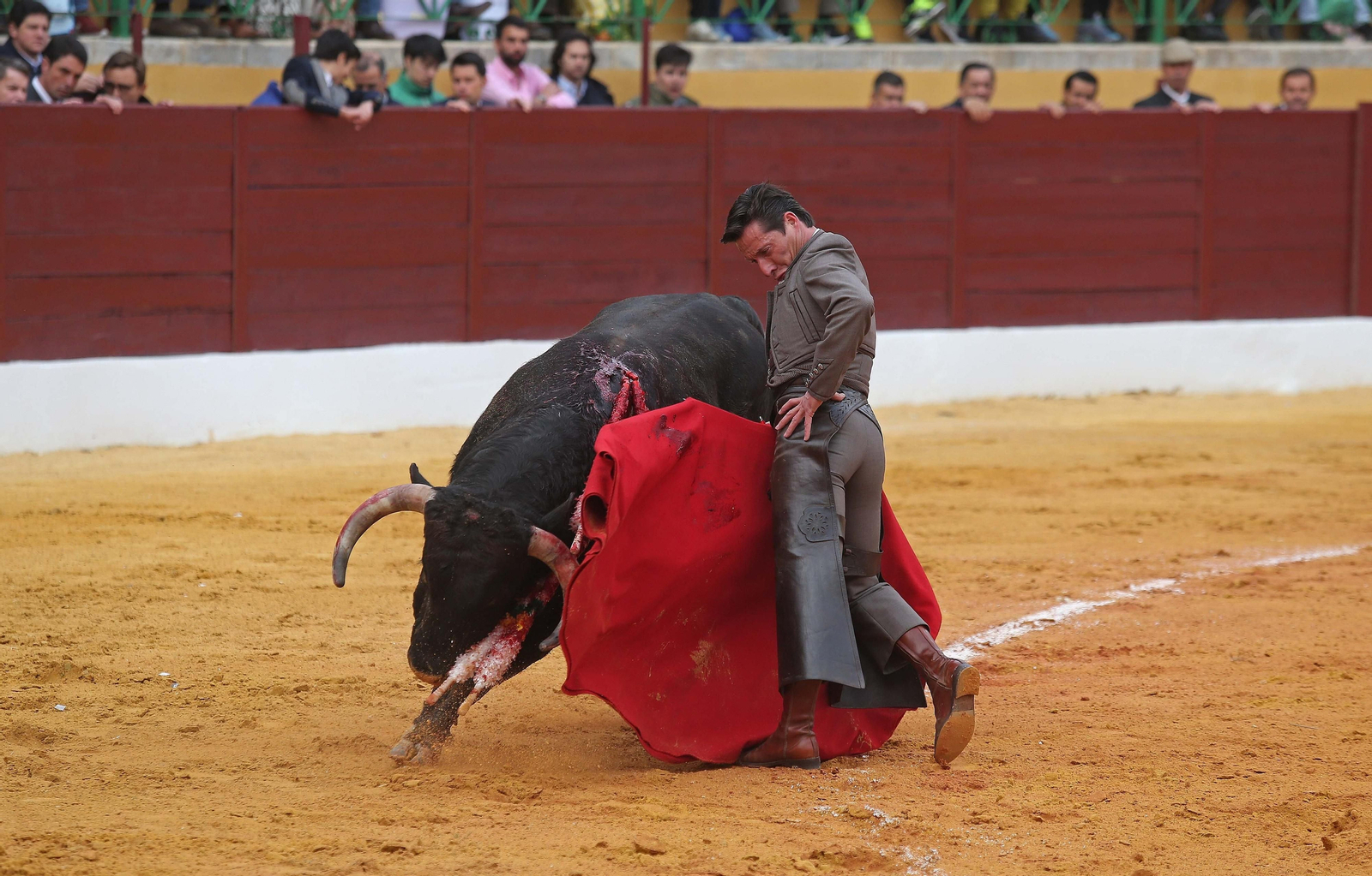 Fotos del festival taurino benéfico en La Línea