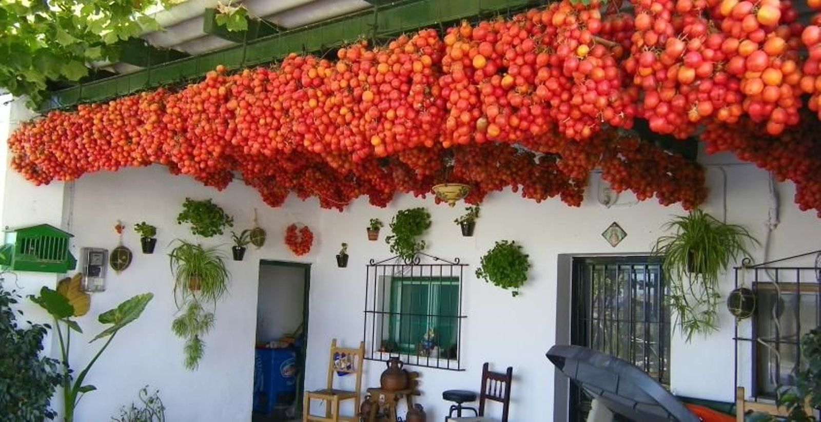 Mosto Domi Mosto Domi