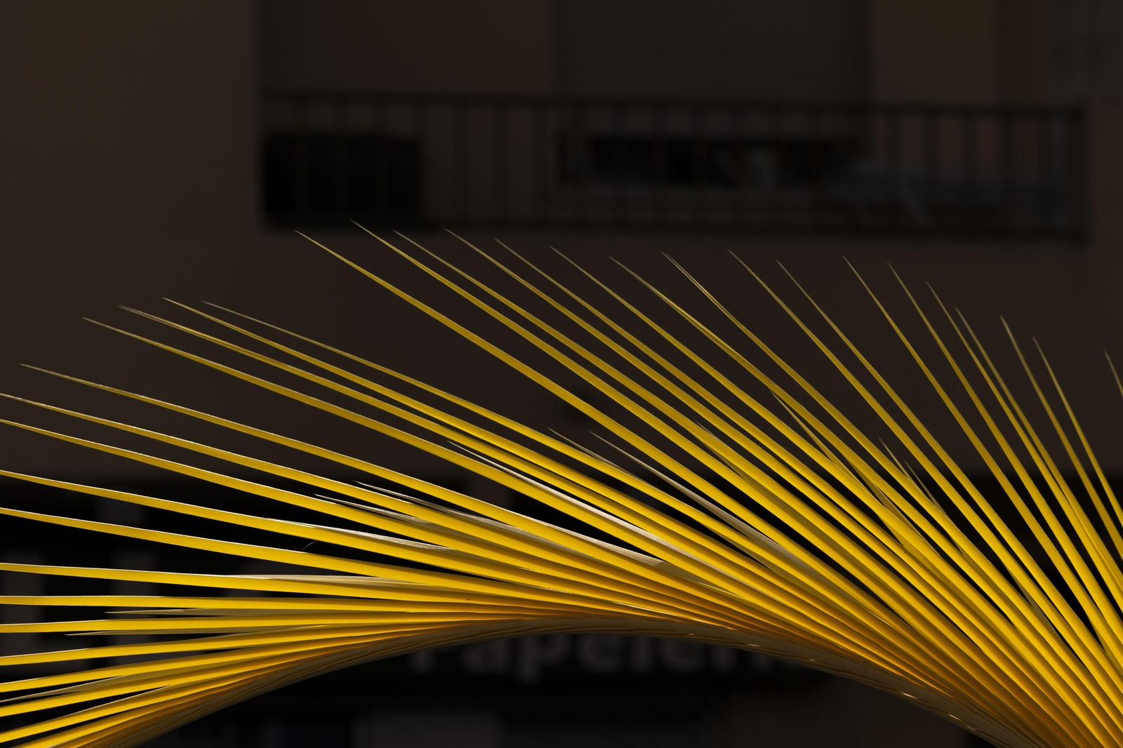 Imágenes de la salida de la Borriquita en la Semana Santa de El Puerto 2025