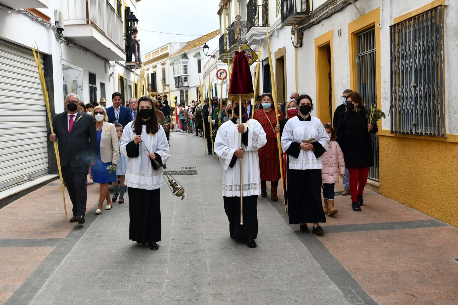Las fotos del domingo de palmas y olivos en San Roque