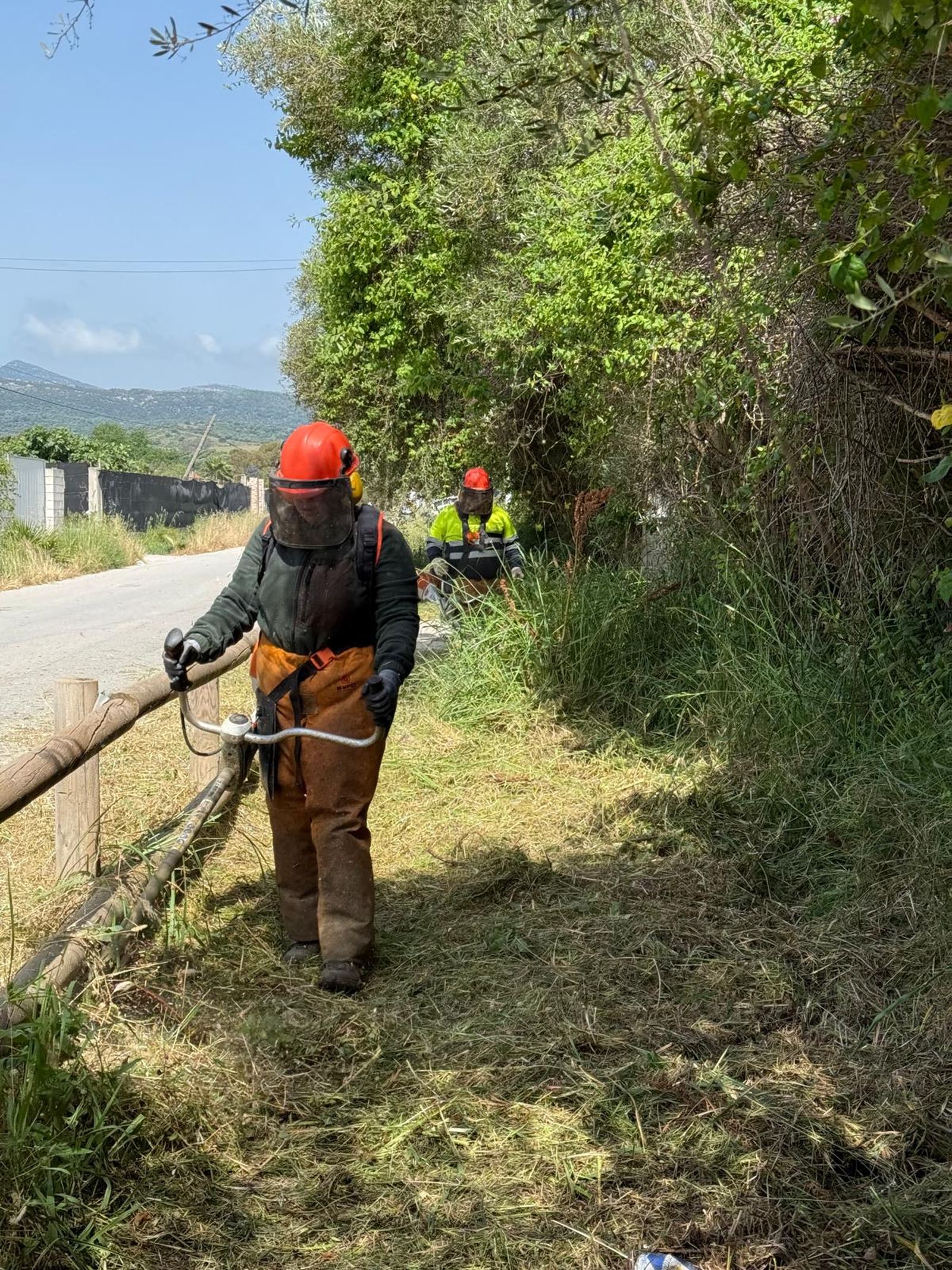 Actuaciones de desbroce en los senderos.
