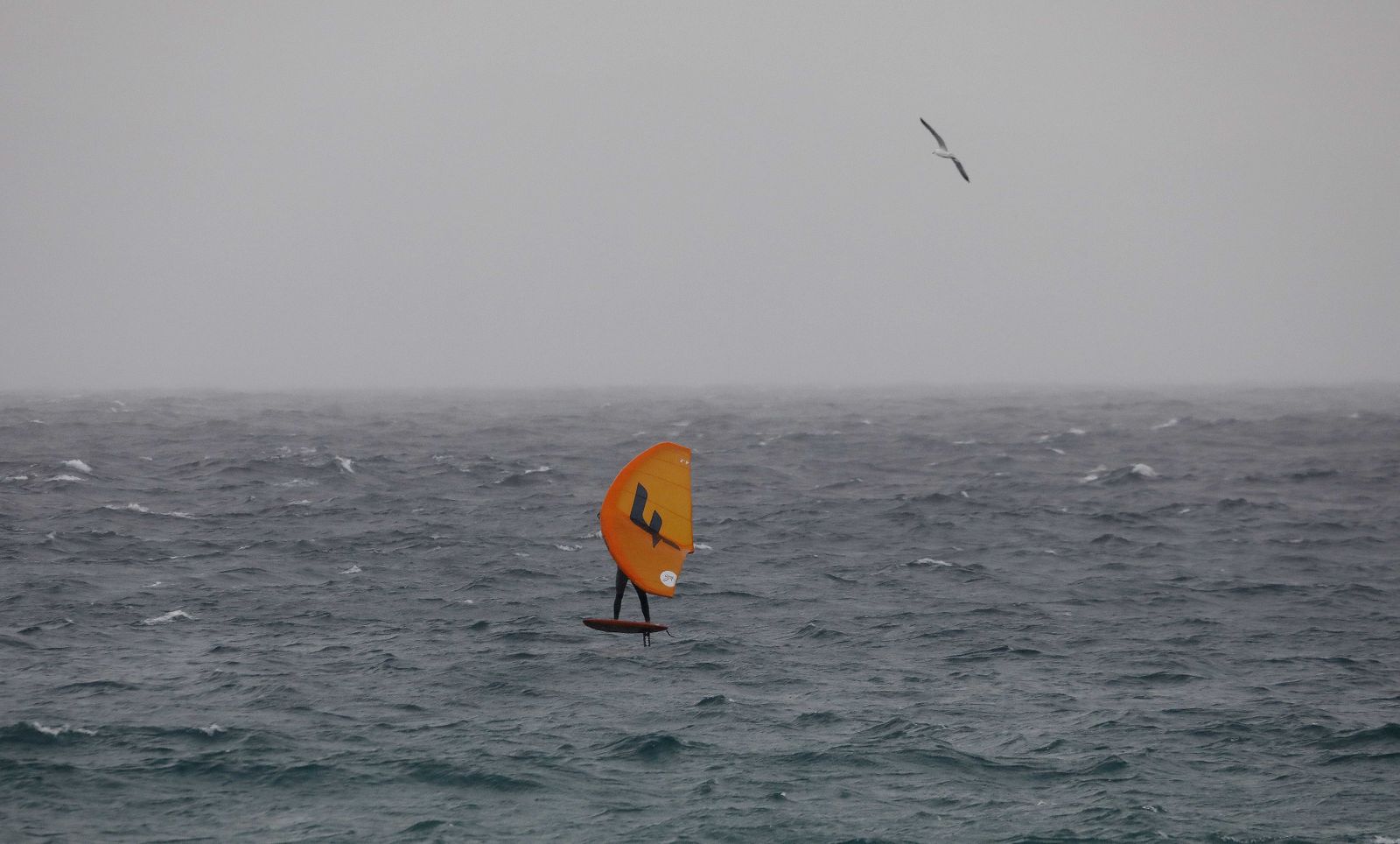 Fotos del temporal de lluvia y viento en el Campo de Gibraltar