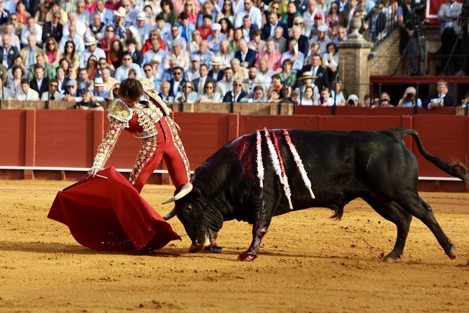 Las mejores imágenes de la corrida de toros de Juan Ortega, Roca Rey y Pablo Aguado