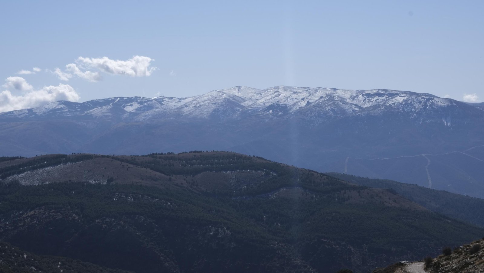 La trufa negra, el tesoro oculto de Laujar, en imágenes