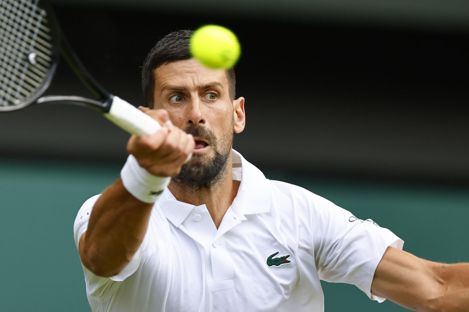 Las fotos de Wimbledon con las clasificaciones de Djokovic y Sinner