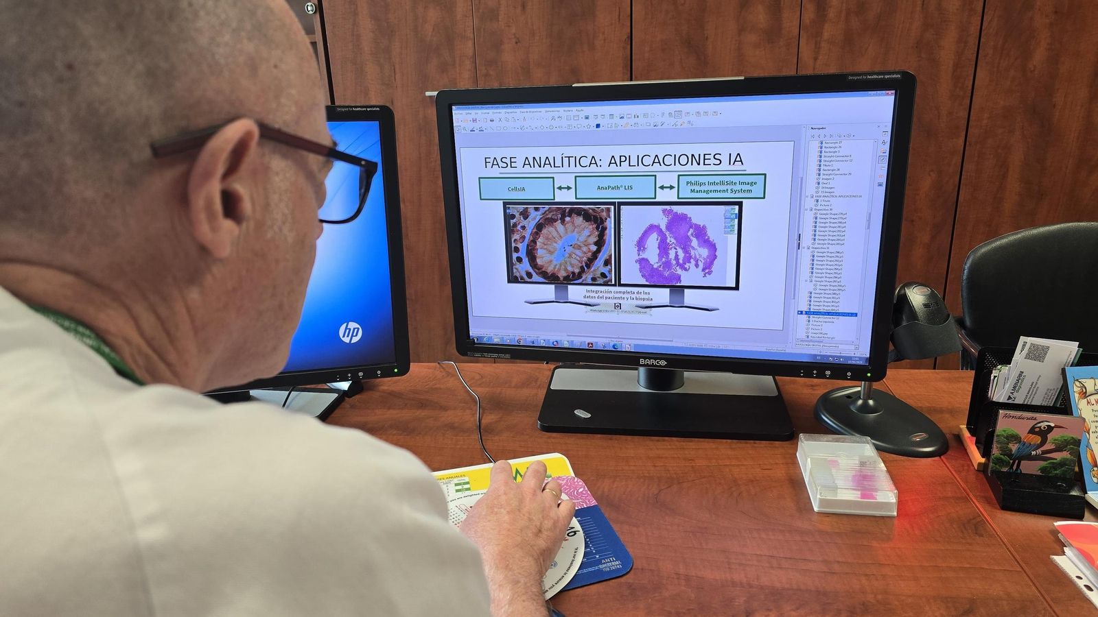 Un investigador observa la pantalla de aplicaciones IA Un investigador observa la pantalla de aplicaciones IA