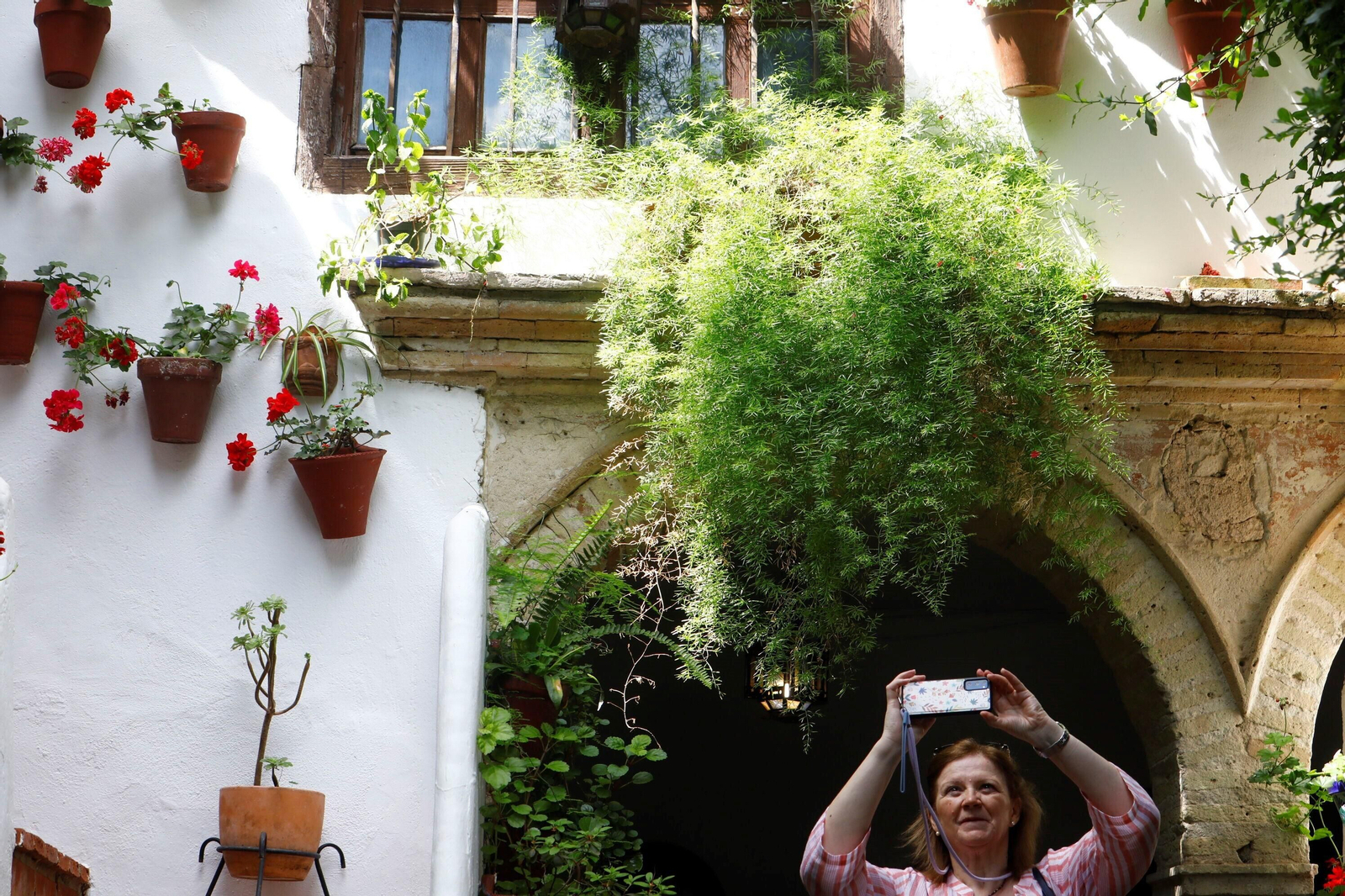Los patios de Córdoba de la ruta Judería-San Francisco, en imágenes