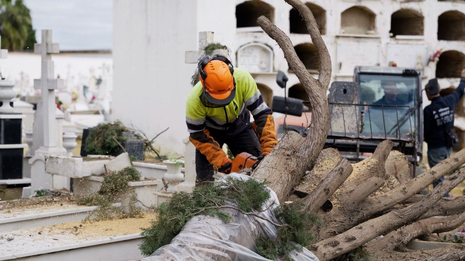 Operarios del Ayuntamiento actúan en el Cementerio de Sevilla tras el temporal.