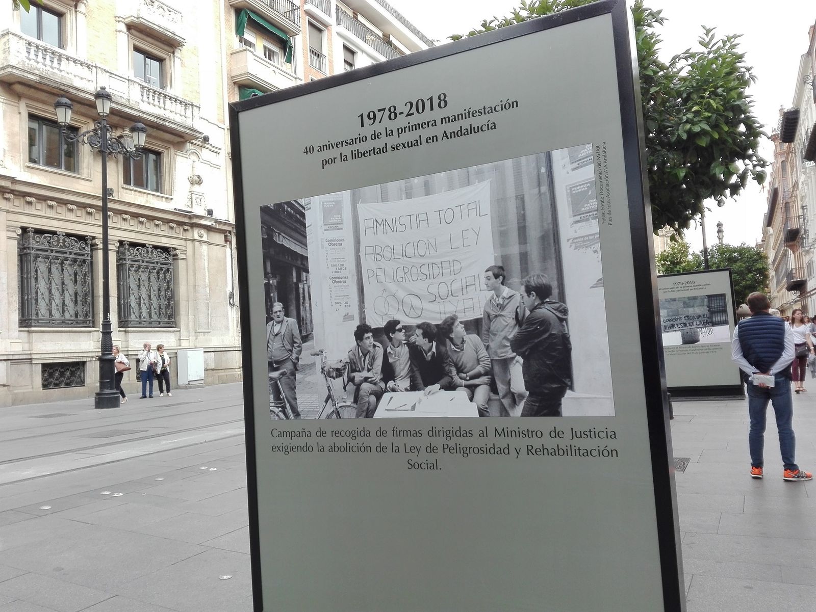 Paneles expositivos en la Avenida de la Constitución.