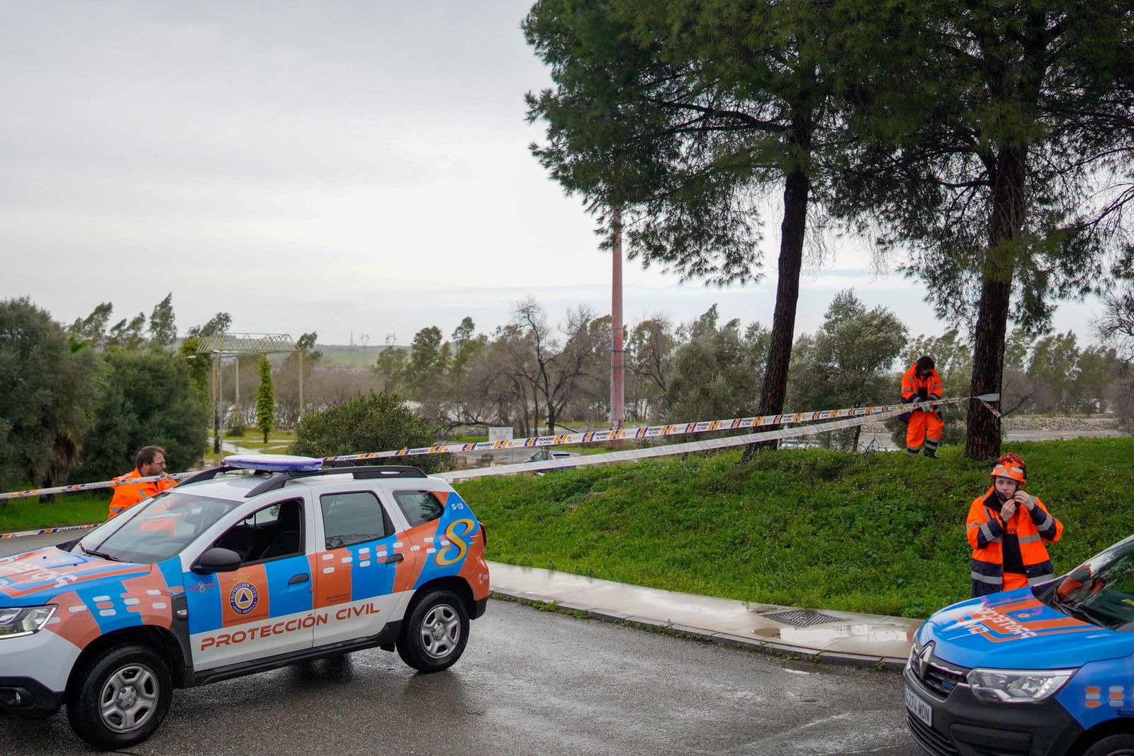 WhatsApp Image 2026-02-07 at 16.49.36 (3)