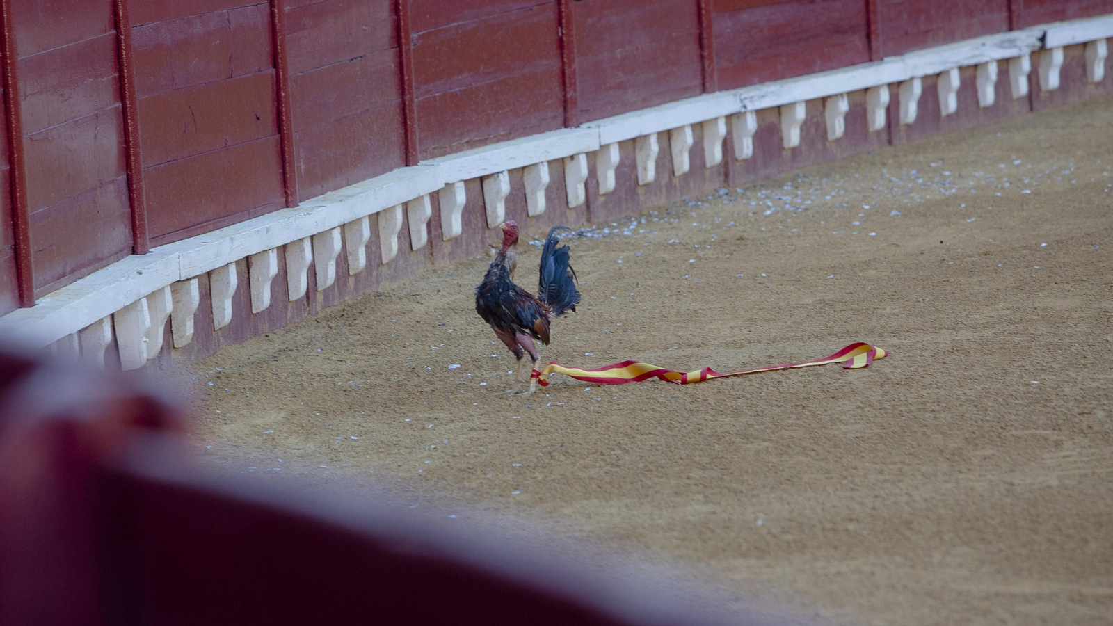 La corrida de toros en el Puerto de Santa María, con Morante de Puebla en solitario, en imágenes.