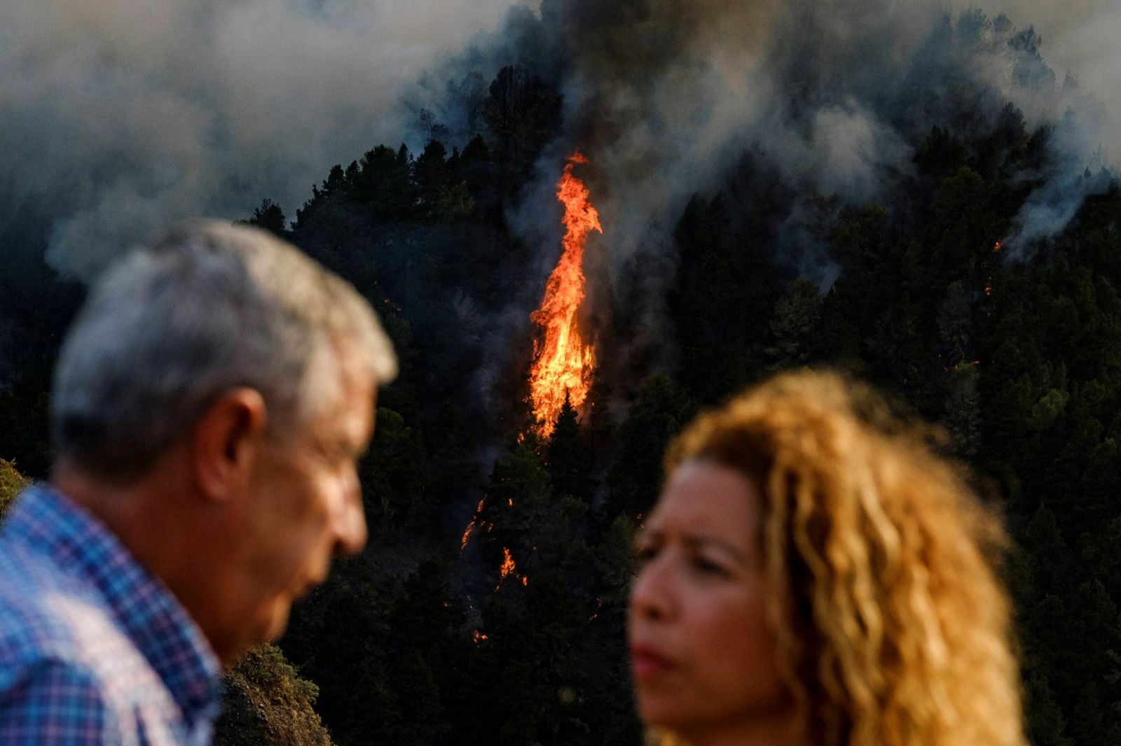 Las imágenes del incendio forestal en Gran Canaria.