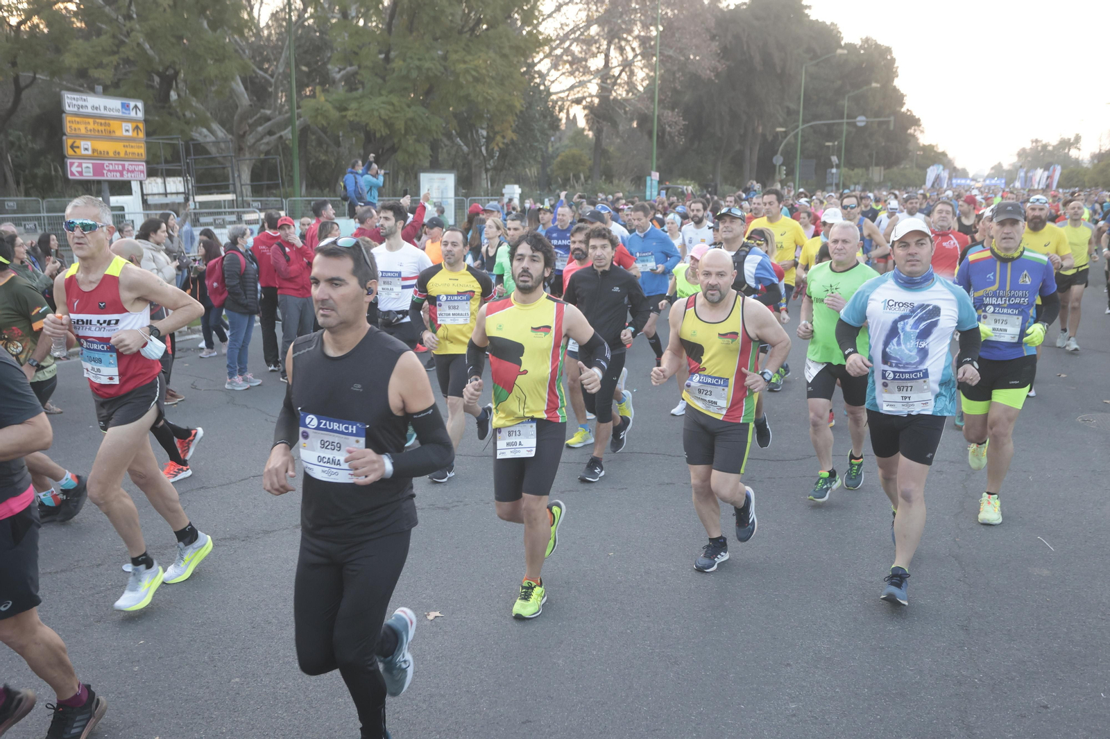 Las imágenes de la Maratón de Sevilla 2022 (5)