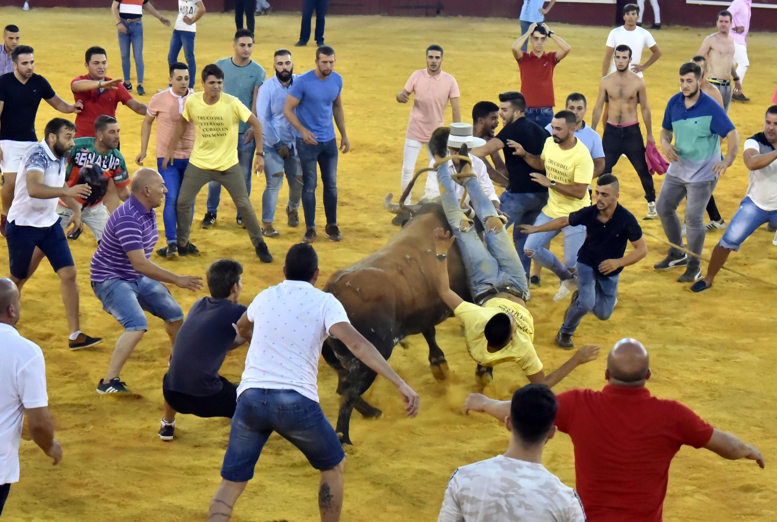 Toro del Aguardiente
